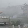 balazsh - 2011